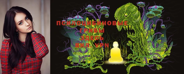 PSILOCYBIN Алексеевка