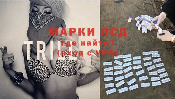 гашик Алзамай